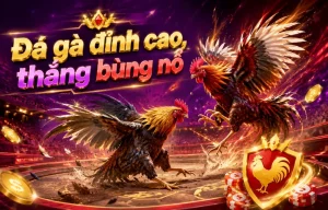 lgsyyh đá gà giao diện gốc